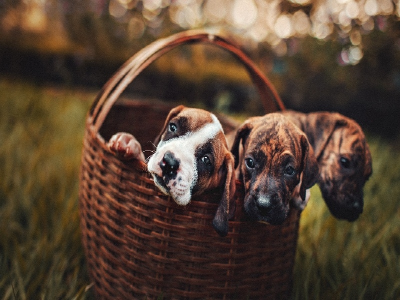 汪老师试管儿子男方精子少试管试管多喝什么